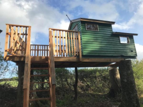 Tree house and shepherds hut